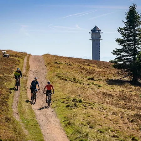 Number 8 Feldberg