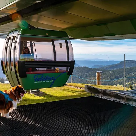 Number 8 * Feldberg