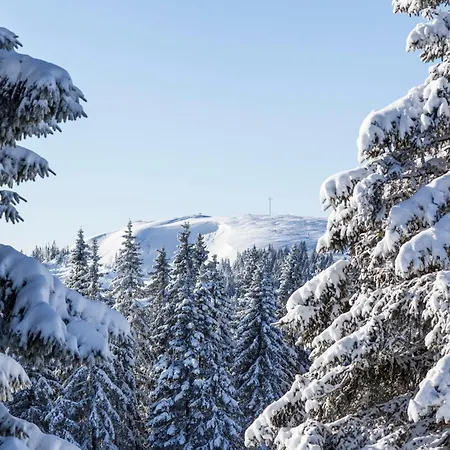 Number 8 Feldberg (Baden-Wurttemberg)